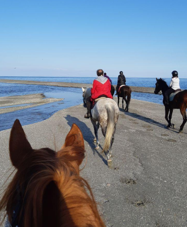 escursione a mare a cavallo