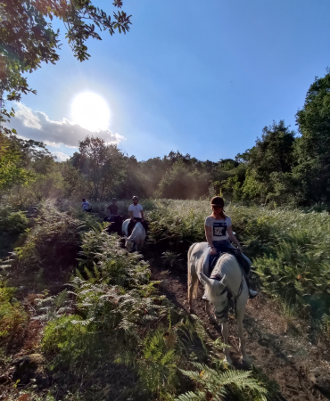escursioni a cavallo