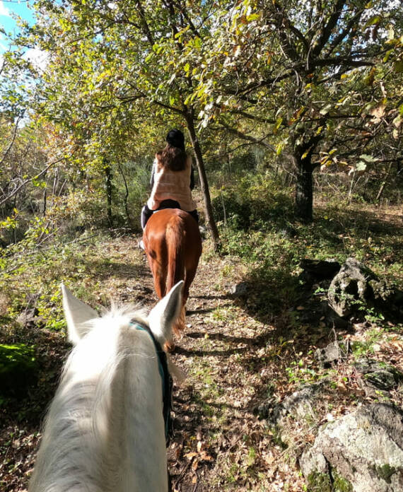 escursione a cavallo sull'etna
