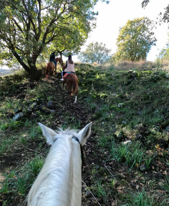 escursione a cavallo sull'etna